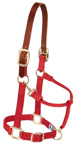 Weaver Leather Sicherheits-Halfter für Pferde aus Nylon, verstellbar, durchschnittliche Größe, Rot Weaver Leather Sicherheits-Halfter für Pferde aus Nylon, verstellbar, durchschnittliche Größe, Rot von Weaver Leather
