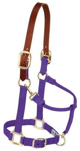 Weaver Leather Sicherheits-Halfter für Pferde aus Nylon, verstellbar, Größe L, Violett Weaver Leather Sicherheits-Halfter für Pferde aus Nylon, verstellbar, Größe L, Violett von Weaver Leather
