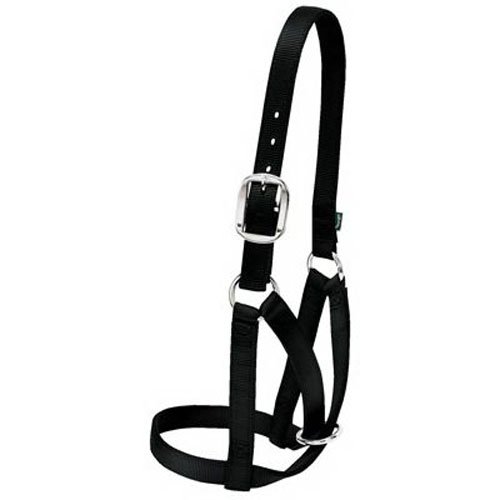 Weaver Leather Halfter für Viehtiere, Kuh, klein, Schwarz Weaver Leather Halfter für Viehtiere, Kuh, klein, Schwarz von Weaver Leather
