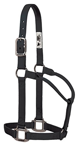 Weaver Leather Jungen 35-7385-bk Original Nicht verstellbares Nylon-Halfter mit verchromten Beschlägen, Größe M, Schwarz, 1 Inches Average Horse Weaver Leather Jungen 35-7385-bk Original Nicht verstellbares Nylon-Halfter mit verchromten Beschlägen, Größe M, Schwarz, 1 Inches Average Horse von Weaver Leather