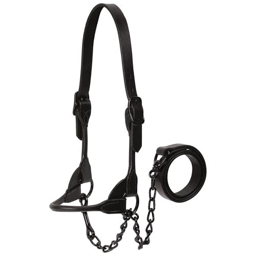 Weaver Leather Livestock Black Magic Show Halfter groß Weaver Leather Livestock Black Magic Show Halfter groß von Weaver Leather