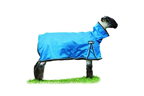 Weaver Leather Livestock ProCool Decke mit reflektierenden Paspeln, Netzstoff, Größe M, Blau Weaver Leather Livestock ProCool Decke mit reflektierenden Paspeln, Netzstoff, Größe M, Blau von Weaver Leather