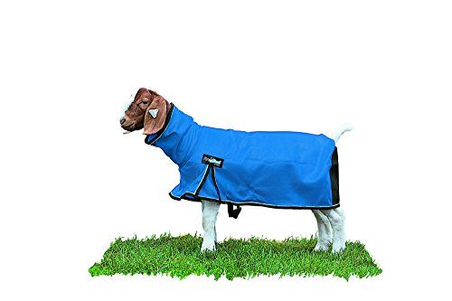 Weaver Leather Livestock ProCool Netz-Decke für Ziegen, mit reflektierenden Paspeln, Blau, Größe XL Weaver Leather Livestock ProCool Netz-Decke für Ziegen, mit reflektierenden Paspeln, Blau, Größe XL von Weaver Leather