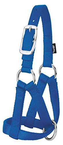 Weaver Leather Ziegenhalfter für Nutztiere, Blau, Größe L Weaver Leather Ziegenhalfter für Nutztiere, Blau, Größe L von Weaver Leather