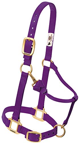 Weaver Leather Nylon Miniatur Pferd Verstellbares Halfter lila Weaver Leather Nylon Miniatur Pferd Verstellbares Halfter lila von Weaver Leather