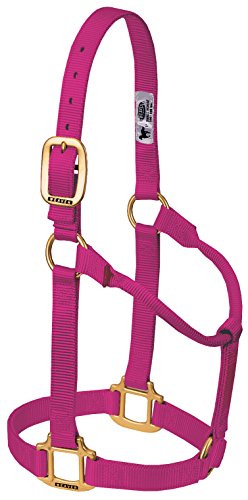 Weaver Leather Original Nicht verstellbares Halfter (Himbeere, Avarage Horse/Yearling Draft) Weaver Leather Original Nicht verstellbares Halfter (Himbeere, Avarage Horse/Yearling Draft) von Weaver Leather