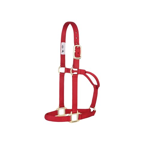 Weaver Leather Original Nicht verstellbares Halfter (rot, Durchschnittspferd/Jährling-Zugluft) Weaver Leather Original Nicht verstellbares Halfter (rot, Durchschnittspferd/Jährling-Zugluft) von Weaver Leather