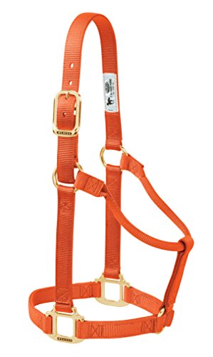 Weaver Leather Original Non-Adjustable Nylon Horse Halter, Large, Orange Weaver Leather Original Non-Adjustable Nylon Horse Halter, Large, Orange von Weaver Leather