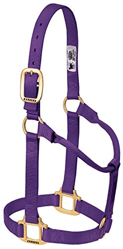 Weaver Leather Original Non-Adjustable Nylon Horse Halter, Large, Purple Weaver Leather Original Non-Adjustable Nylon Horse Halter, Large, Purple von Weaver Leather
