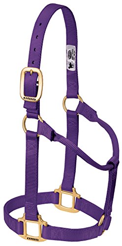 Weaver Leather Original Non-Adjustable Nylon Horse Halter, Large, Purple von Weaver Leather