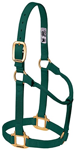 Weaver Leather Original Non-Adjustable Nylon Horse Halter, Small, Hunter Green Weaver Leather Original Non-Adjustable Nylon Horse Halter, Small, Hunter Green von Weaver Leather