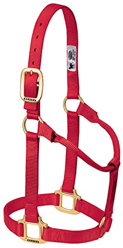 Weaver Leather Original Pferdehalfter, Nicht verstellbar, Nylon, klein, Rot Weaver Leather Original Pferdehalfter, Nicht verstellbar, Nylon, klein, Rot von Weaver Leather