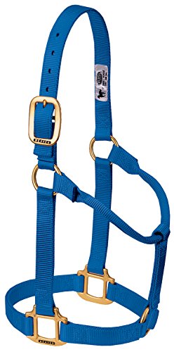 Weaver Leather Original Nylon-Pferdehalfter, Nicht verstellbar, Blau, Entwöhnung/Pony Weaver Leather Original Nylon-Pferdehalfter, Nicht verstellbar, Blau, Entwöhnung/Pony von Weaver Leather
