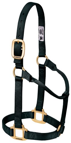 Weaver Leather Original Non-Adjustable Nylon Horse Halter von Weaver Leather