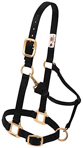Weaver Leather Nylon Mini-Pferd Verstellbares Halfter Schwarz Durchschnittlich Mini Weaver Leather Nylon Mini-Pferd Verstellbares Halfter Schwarz Durchschnittlich Mini von Weaver Leather