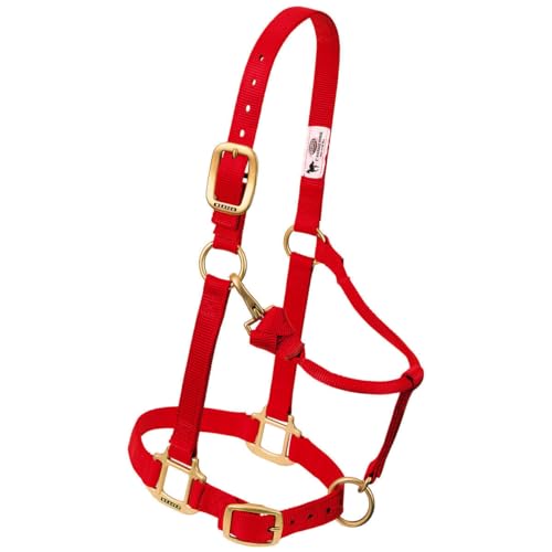 Weaver Leather 3/4" Orig ADJ Wean Hltr, Rd Pferdehalfter, rot, Weanling/Pony Weaver Leather 3/4" Orig ADJ Wean Hltr, Rd Pferdehalfter, rot, Weanling/Pony von Weaver Leather