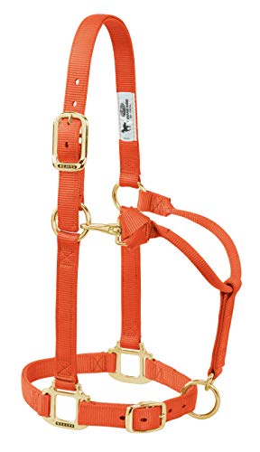 Weaver Leather Original Verstellbares Pferdehalfter, Nylon, großes Pferd, Orangerot Weaver Leather Original Verstellbares Pferdehalfter, Nylon, großes Pferd, Orangerot von Weaver Leather