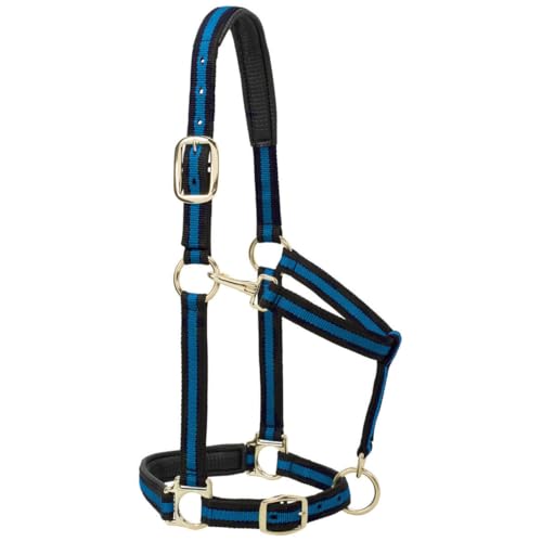 Weaver Leather Halfter für kleine Pferde, gepolstert, verstellbar, Nylon, 2,5 cm, Blau Weaver Leather Halfter für kleine Pferde, gepolstert, verstellbar, Nylon, 2,5 cm, Blau von Weaver Leather