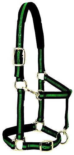 Weaver Leather Padded Adjustable Nylon Horse Halter, Green, 1" Small Horse von Weaver Leather