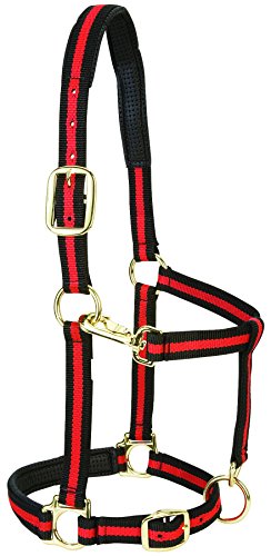 Weaver Leather Padded Adjustable Nylon Horse Halter, Red, 1" Small Horse von Weaver Leather