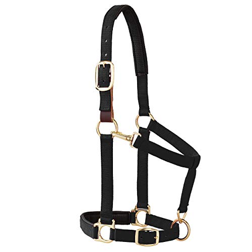 Weaver Leather Gepolstertes Halfter für Kinn und Hals, verstellbar, 2,5 cm durchschnittlicher Zugluft für Pferd oder Jährling, Schwarz Weaver Leather Gepolstertes Halfter für Kinn und Hals, verstellbar, 2,5 cm durchschnittlicher Zugluft für Pferd oder Jährling, Schwarz von Weaver Leather