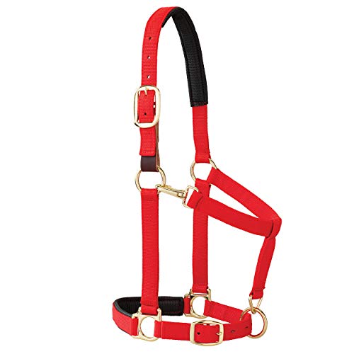 Weaver Leather Padded Breakaway Adjustable Chin and Throat Snap Halter, 1" Average Horse or Yearling Draft, Red von Weaver Leather