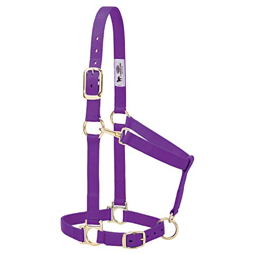 Weaver Leather Pferdehalfter aus Nylon, gepolstert und verstellbar, Kinn- und Rachen-Karabinerhaken Halfter für Pferde, vermessingte Halfter für Training Weaver Leather Pferdehalfter aus Nylon, gepolstert und verstellbar, Kinn- und Rachen-Karabinerhaken Halfter für Pferde, vermessingte Halfter für Training von Weaver Leather