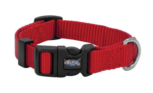 Weaver Leather Prism Snap-N-Go Halsband aus Nylon, Rot, 1,6 x 22,9-33 cm Weaver Leather Prism Snap-N-Go Halsband aus Nylon, Rot, 1,6 x 22,9-33 cm von Weaver Leather