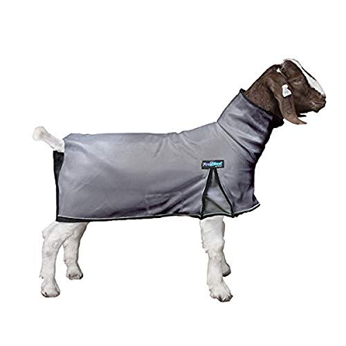 Weaver Leather ProCool Ziegendecke mit reflektierenden Paspeln, Größe XL, Grau Weaver Leather ProCool Ziegendecke mit reflektierenden Paspeln, Größe XL, Grau von Weaver Leather