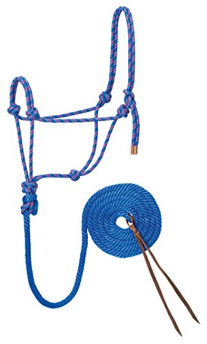 Weaver Leather Reflektierendes Halfter und Leine mit Diamantgeflecht Weaver Leather Reflektierendes Halfter und Leine mit Diamantgeflecht von Weaver Leather