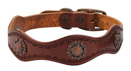 Weaver Leather Sundance Hundehalsband, 2,5 x 48,2 cm, Braun Weaver Leather Sundance Hundehalsband, 2,5 x 48,2 cm, Braun von Weaver Leather