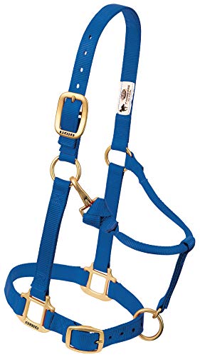 Weaver Leather TRV154627, blau, Weanling/Pony Weaver Leather TRV154627, blau, Weanling/Pony von Weaver Leather