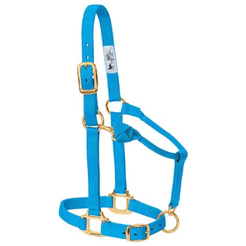 Weaver Leather TRV154691 2,5 cm LG Blu Snap Halter, Leder, blau, Large Horse Weaver Leather TRV154691 2,5 cm LG Blu Snap Halter, Leder, blau, Large Horse von Weaver Leather