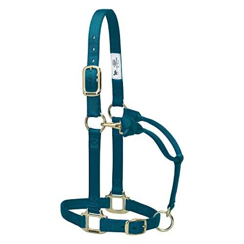 Weaver Leather Unisex-Erwachsene 2,5 cm Orig ADJ Large HLTR, TE Halfter, Petrol, Horse Weaver Leather Unisex-Erwachsene 2,5 cm Orig ADJ Large HLTR, TE Halfter, Petrol, Horse von Weaver Leather