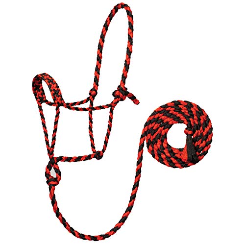 Weaver Leather Unisex-Erwachsene Geflochtenes Seil mit Kabel, RD/BK Pferdehalfter, Rot/Schwarz, Average Horse Weaver Leather Unisex-Erwachsene Geflochtenes Seil mit Kabel, RD/BK Pferdehalfter, Rot/Schwarz, Average Horse von Weaver Leather