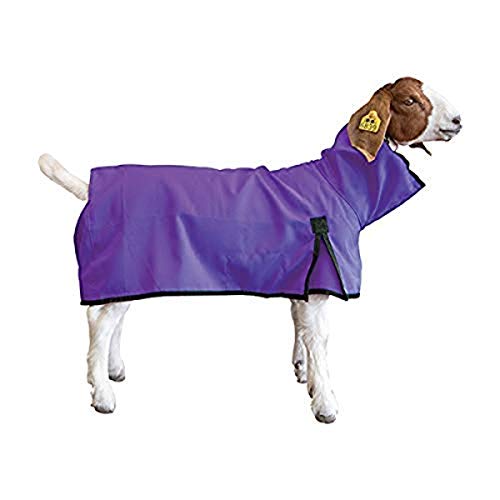 Weaver Leather Unisex-Erwachsene Goat Blanket, Small, Purple Ziegendecke, violett von Weaver Leather
