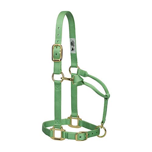 Weaver Leather Unisex – Erwachsene Weaver Equine Original Adjustable Chin and Throat Snap Halter, 3/4", Suckling Dist Halfter, Pistaziengrün von Weaver Leather