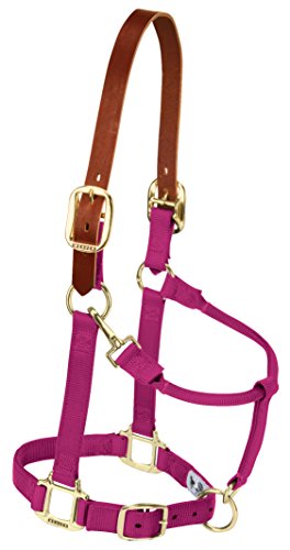 Weaver Leather Sicherheits-Halfter für Pferde aus Nylon Weaver Leather Sicherheits-Halfter für Pferde aus Nylon von Weaver Leather