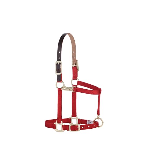 Weaver Leather Verstellbares Pferdehalfter aus Nylon. Weaver Leather Verstellbares Pferdehalfter aus Nylon. von Weaver Leather