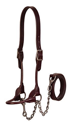 Weaver Leder Bombe Show Halfter, 90-0651, braun, M Weaver Leder Bombe Show Halfter, 90-0651, braun, M von Weaver Leather
