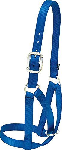 Weaver Leder Kuhhalfter, Damen, blau, Large Weaver Leder Kuhhalfter, Damen, blau, Large von Weaver Leather