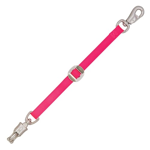Weaver Leder Nylon Trailer Krawatte, Diva Pink Weaver Leder Nylon Trailer Krawatte, Diva Pink von Weaver Leather