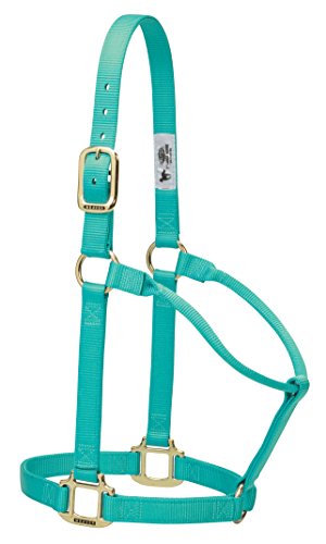 Weaver Leder Original Festeingesteller weanling/Pony Halfter, mint, Small Weaver Leder Original Festeingesteller weanling/Pony Halfter, mint, Small von Weaver Leather
