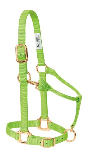 Weaver Leather Original Verstellbares Pferdehalfter, Nylon, Absetzer/Pony, Grün (Lime) von Weaver Leather