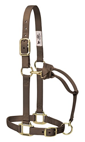 Weaver Leather Original Pferde-Halfter aus Nylon, verstellbar, klein, Braun Weaver Leather Original Pferde-Halfter aus Nylon, verstellbar, klein, Braun von Weaver Leather
