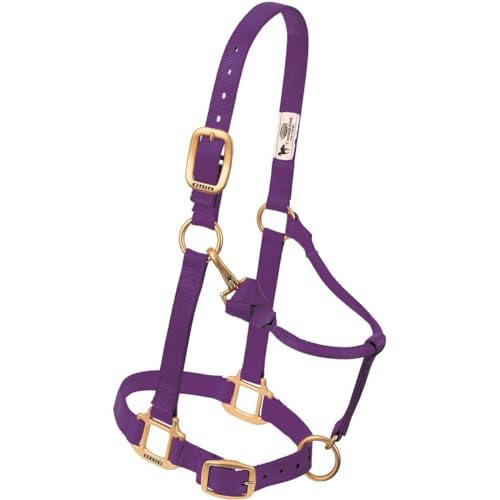 Weaver Leather Original verstellbares Nylon-Pferdehalfter, kleines Pferd, lila Weaver Leather Original verstellbares Nylon-Pferdehalfter, kleines Pferd, lila von Weaver Leather