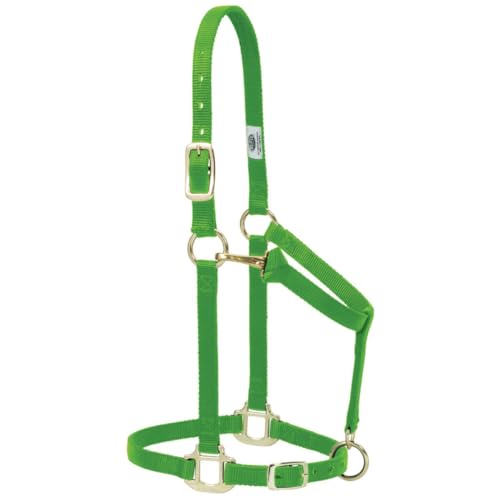 Weaver Leather Original Verstellbares Pferdehalfter, Nylon, mittelgroßes Pferd, Grün (Lime) Weaver Leather Original Verstellbares Pferdehalfter, Nylon, mittelgroßes Pferd, Grün (Lime) von Weaver Leather