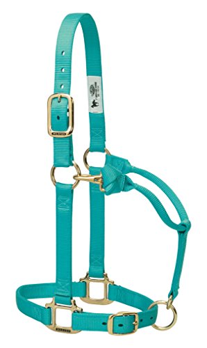 Weaver Leather Original Verstellbares Nylon-Pferdehalfter, Durchschnittliches Pferd, Grün (Mint) Weaver Leather Original Verstellbares Nylon-Pferdehalfter, Durchschnittliches Pferd, Grün (Mint) von Weaver Leather