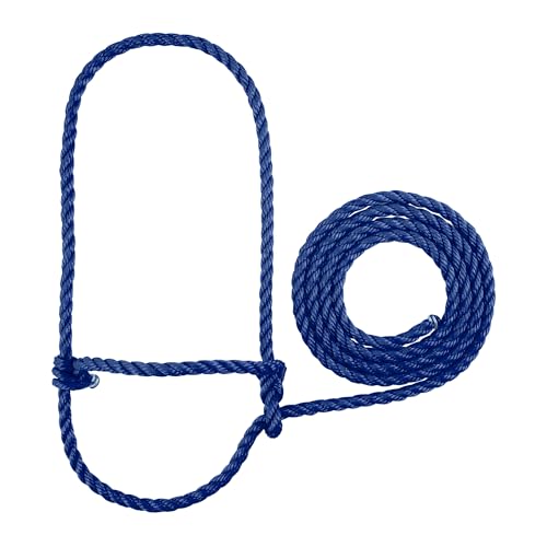 Weaver Leder Seil Kuh Halfter, blau, 1/2 Inch Weaver Leder Seil Kuh Halfter, blau, 1/2 Inch von Weaver Leather