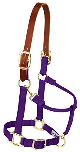 Weaver Leder abtrünnigen Original Verstellbare Kinn und Hals Snap Halfter, violett Weaver Leder abtrünnigen Original Verstellbare Kinn und Hals Snap Halfter, violett von Weaver Leather